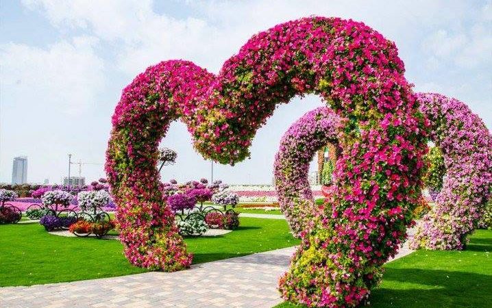 Цветните ливади како паметен начин за зеленило во градот